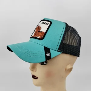 mesh baseball cap